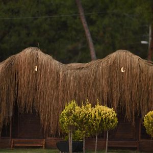 Bungalov