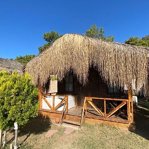 Bungalov